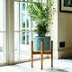 image 10 of Anzio Planter with Wooden Stand - Ceramic - L24 x W24 x H38.5 cm - Warm Grey | Grey