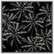 image 4 of White palm trees on black (Picture Frame) White | L