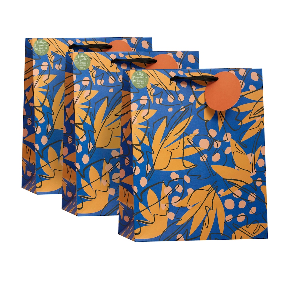 image 1 of Matisse Floral Large Gift Bag - Pack of 3