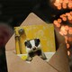 image 3 of Cute Badger in Bathtub Yellow Daisy Theme Bath Birthday Greeting Card