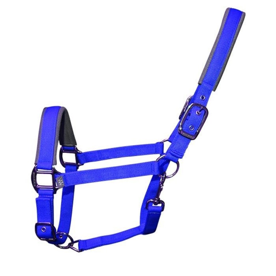 image 1 of Woof Wear Contour Head Collar Blue | Size: Cob
Colour: Shiraz/Navy
