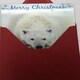 image 1 of 3D Holographic Up Close POLAR BEAR Merry Christmas Greeting Card