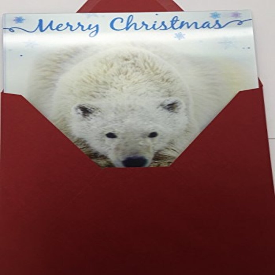 image 1 of 3D Holographic Up Close POLAR BEAR Merry Christmas Greeting Card