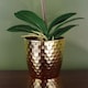 image 3 of Orchid Artificial Purple White 50cm Gold Pot Phalaenopsis Botanik