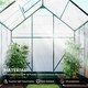 image 4 of Outsunny Walk-in Greenhouse Garden Polycarbonate Aluminium w Smart Window 6x6ft