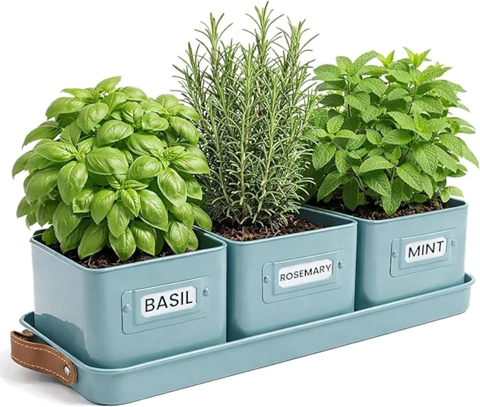 image 1 of Set of 3 Blue Indoor Herb Pots with Tray | Blue | 4