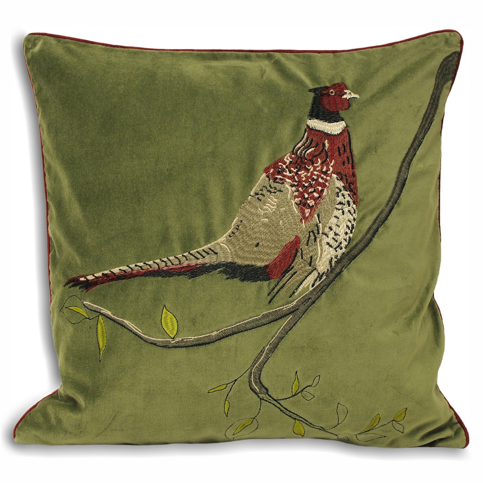 Paoletti Hunter Velvet Pheasant Cushion, Green, 45 x 45cm