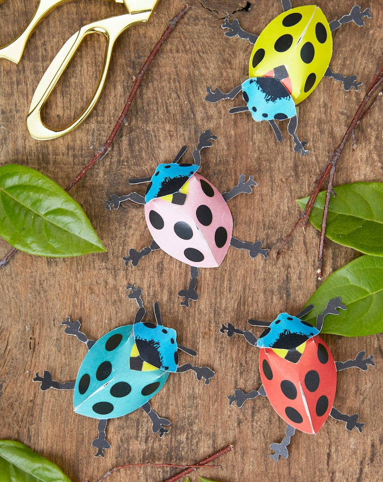 image 1 of RHS Make Your Own 3D Bugs, Childrens Craft Kits