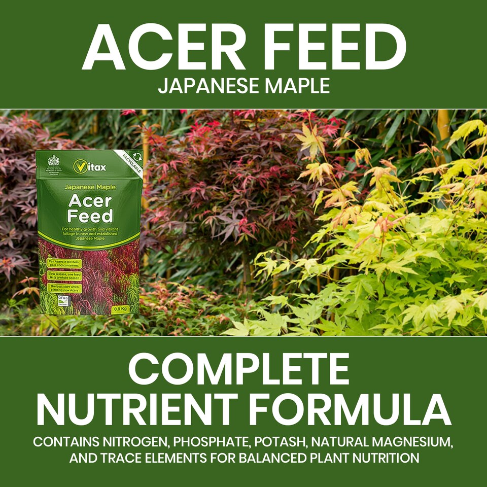 image 1 of Vitax Acer Feed Japanese Maple Tree Organic Plant Feed Healthy Growth Vibrant Foliage 0.9kg Pack of 3