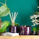 image 8 of Nicola Spring Scented Candle & Reed Diffuser Set - 350g - Cinnamon & Orange | Purple | Purple
