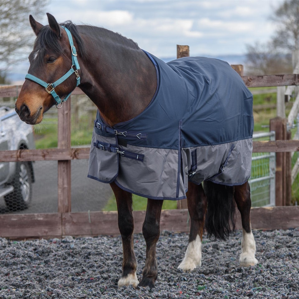 image 1 of eQuitack 600D Waterproof Horse Turnout Rug 0g No Fill Regular Neck Navy/Grey 6'0''