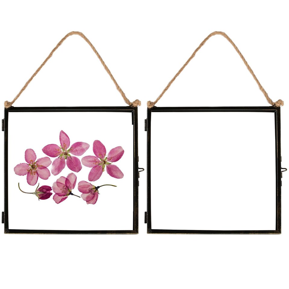 image 1 of Nicola Spring Hanging Metal Photo Frames - 8" x 8" - Black - Pack of 2 - Hanging Picture Frame Display Frame Poster Frame Picture Display | Black | S