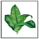 image 4 of Bunched leaves (Picture Frame) Brown | Oak | S
