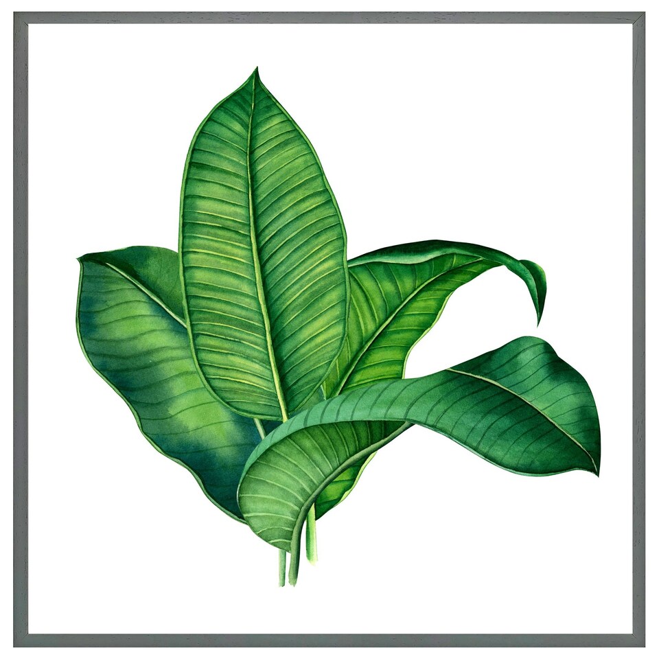 image 1 of Bunched leaves (Picture Frame) Brown | Oak | S