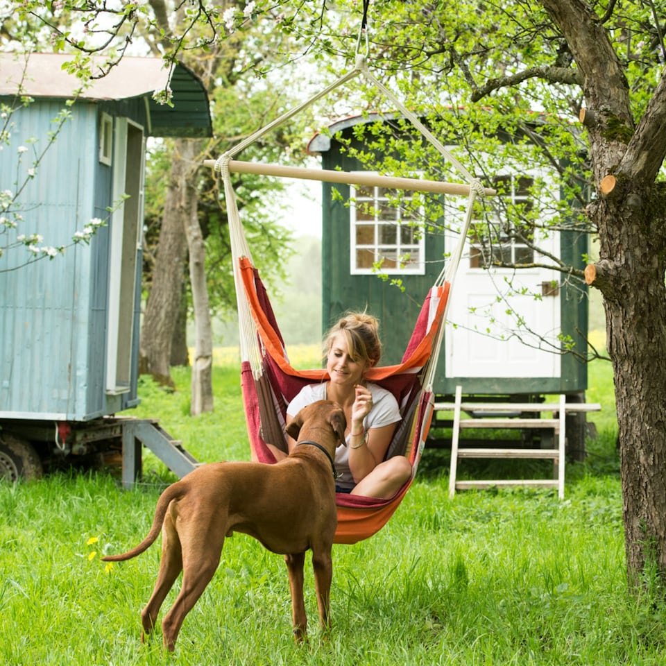 image 1 of Brasil Acerola Hammock Chair Multi | Acerola