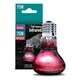 image 6 of Arcadia Basking Infrared Reptile Lamp N/A | 50W