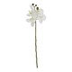 image 3 of Hill Interiors Butterfly Orchid Artificial Flower - White - 52cm x 9cm x 9cm