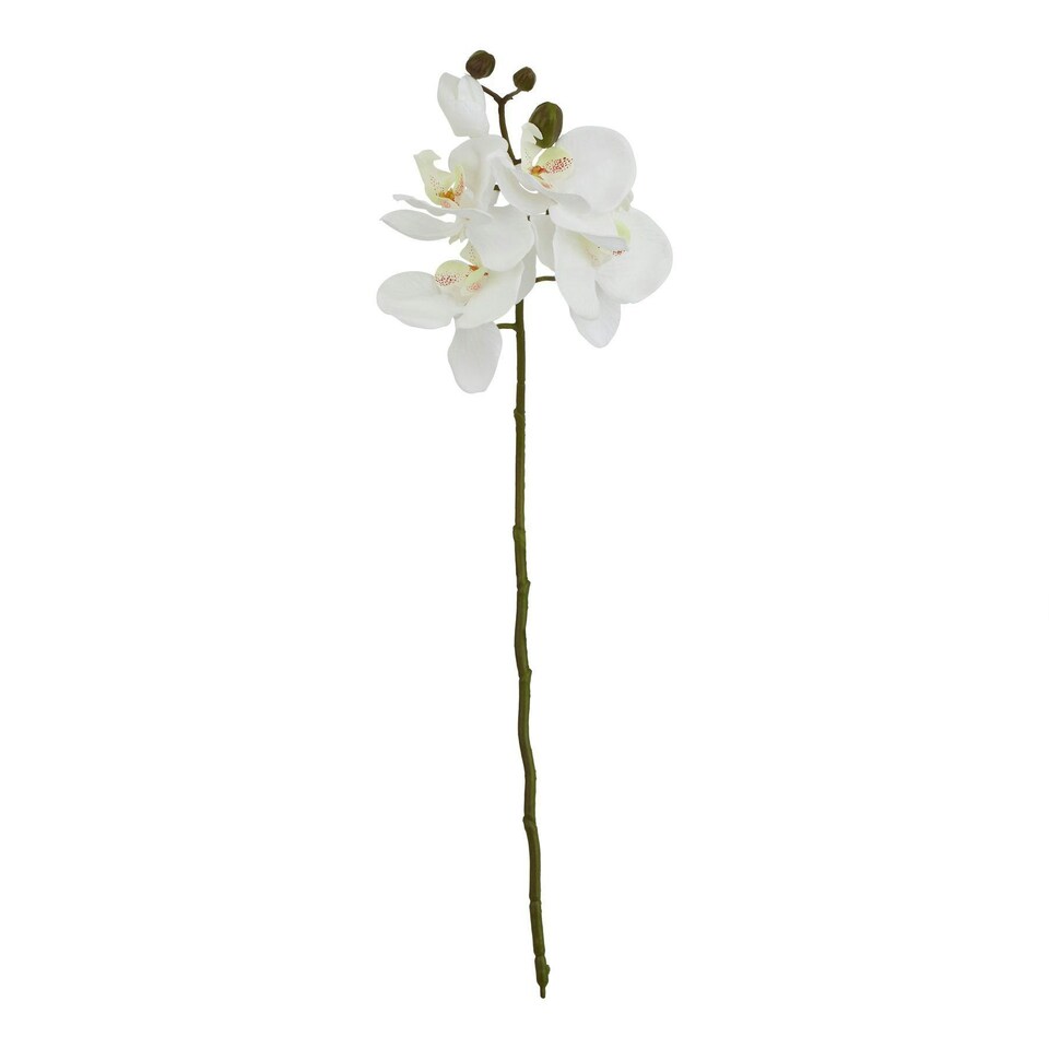 image 1 of Hill Interiors Butterfly Orchid Artificial Flower - White - 52cm x 9cm x 9cm