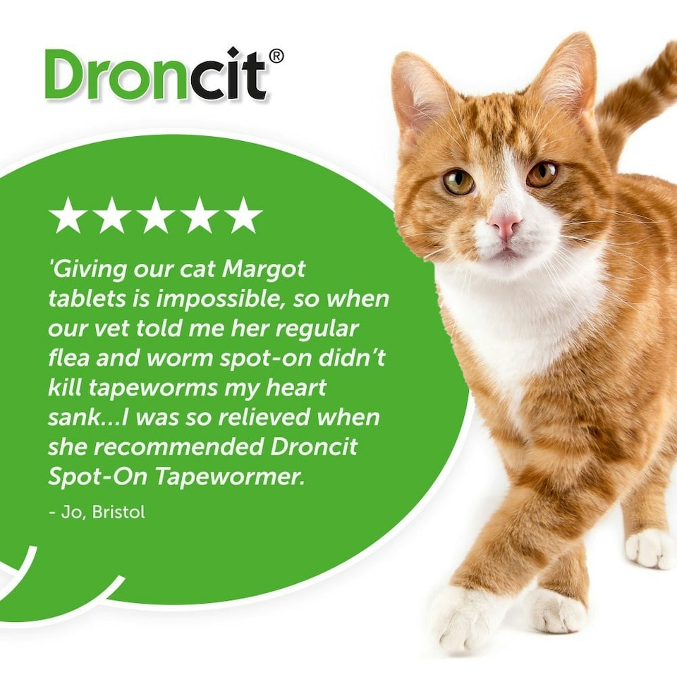 image 1 of Droncit Spot-On Tapewormer for Cats (from 1kg), 4 tubes