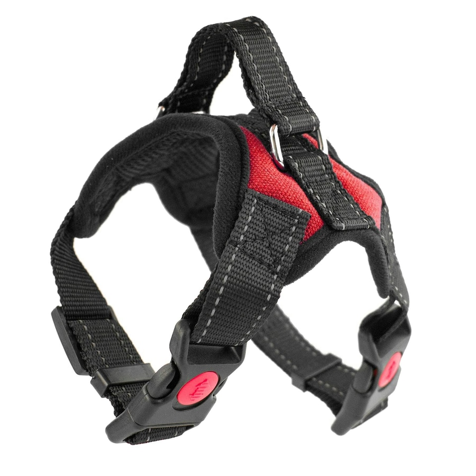image 1 of KCT Extra Small Red Padded Dog Harness Red | XS