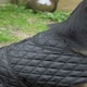 image 2 of Rhinegold Balmoral Dog Coat Black | XXL