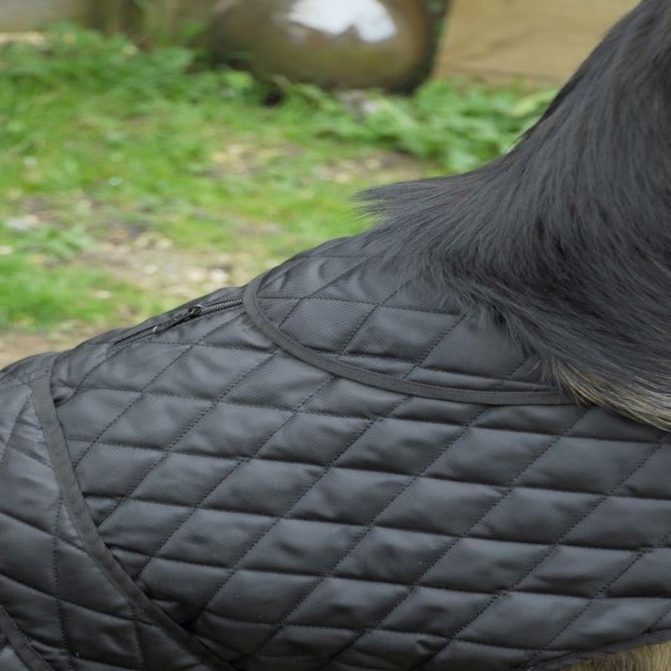 image 1 of Rhinegold Balmoral Dog Coat Black | XXL