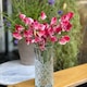 image 2 of Heirloom Fragrant Climbing Sweet Pea Queen of The Isles - Red White Blooms Cottage Garden Classic Thompson & Morgan