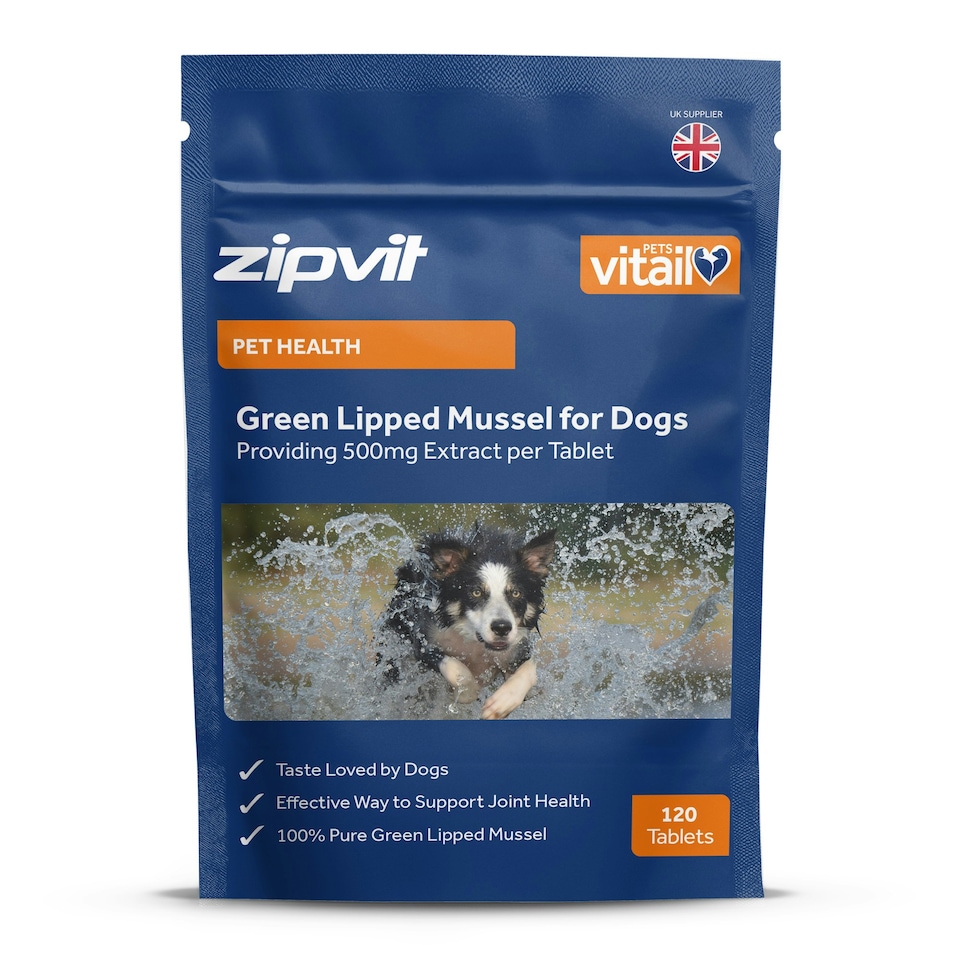 image 1 of Zipvit Green Lipped Mussel 500mg for Dogs – Joint & Coat Support, 120 Tablets