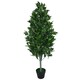 image 1 of 120cm (4ft) Artificial Topiary Bay Tree Pyramid Cone - Extra Large | Green | 4ft