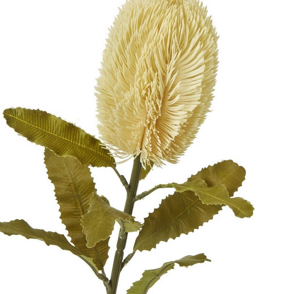 image 1 of Large Banksia Serrata (Single Stem Flower) - Plastic - Height 65 cm - Cream