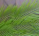 image 3 of Artificial 120cm Hanging Palm Leaf Plant