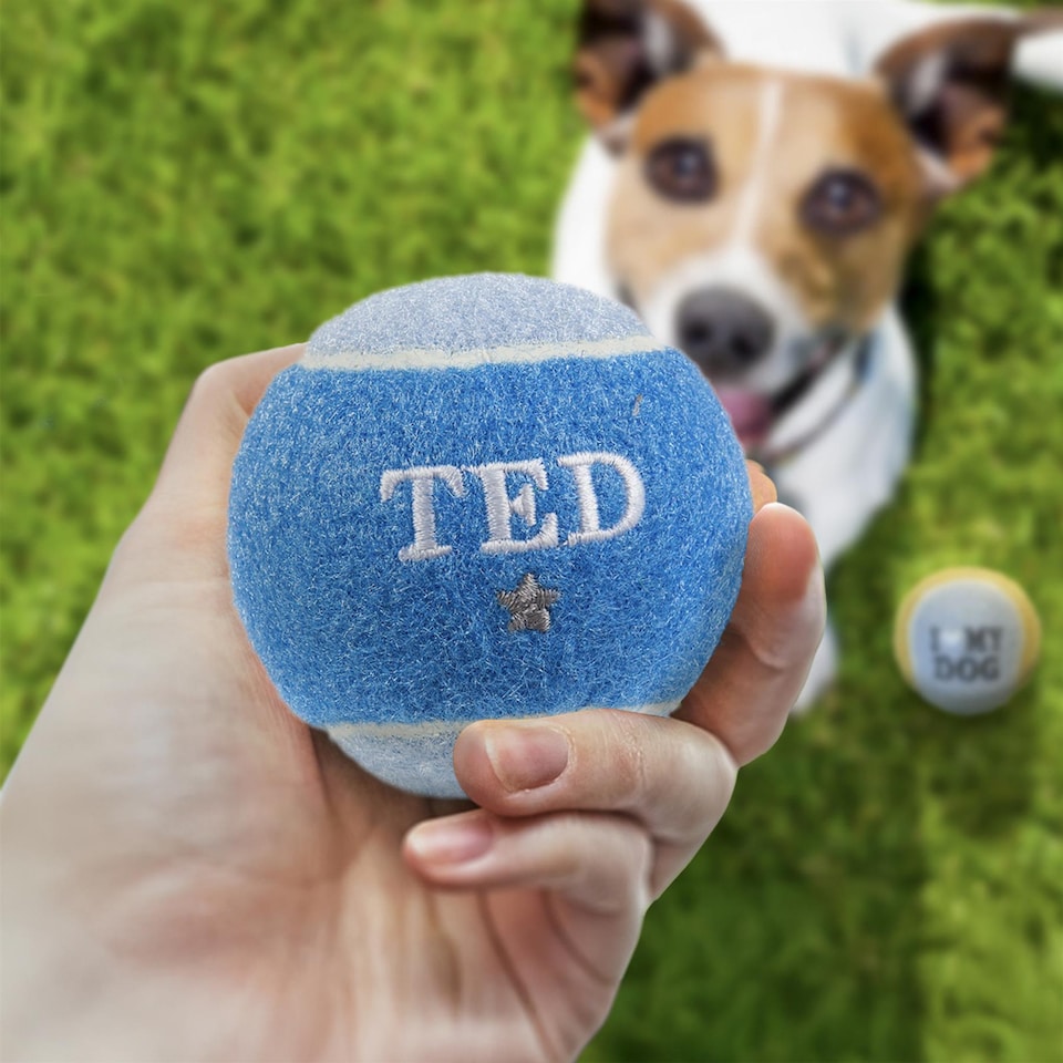 image 1 of Pre-Personalised Dog Ball Gift Pack 2pcs Blue Ted