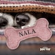 image 2 of History & Heraldry Pre-Personalised Squeaky Bone Dog Toy - Nala