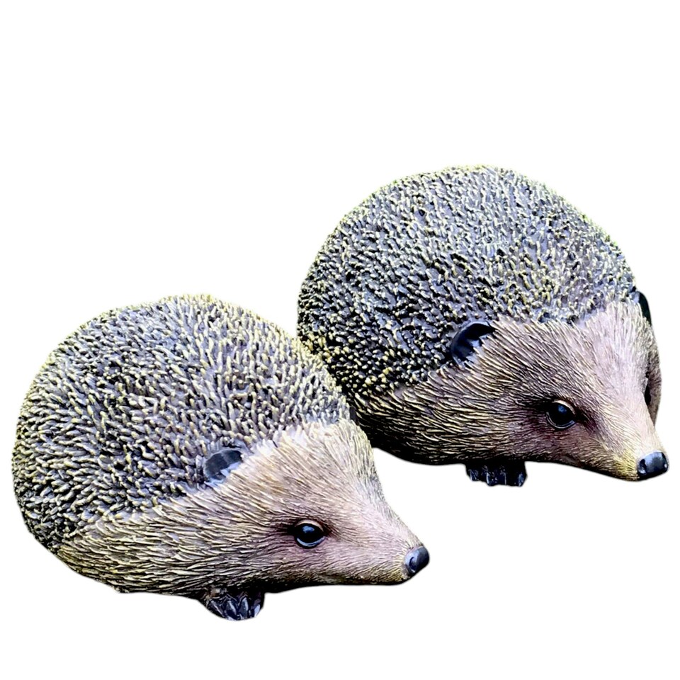 image 1 of Set Of Two Hedgehogs Home Or Garden Decorations