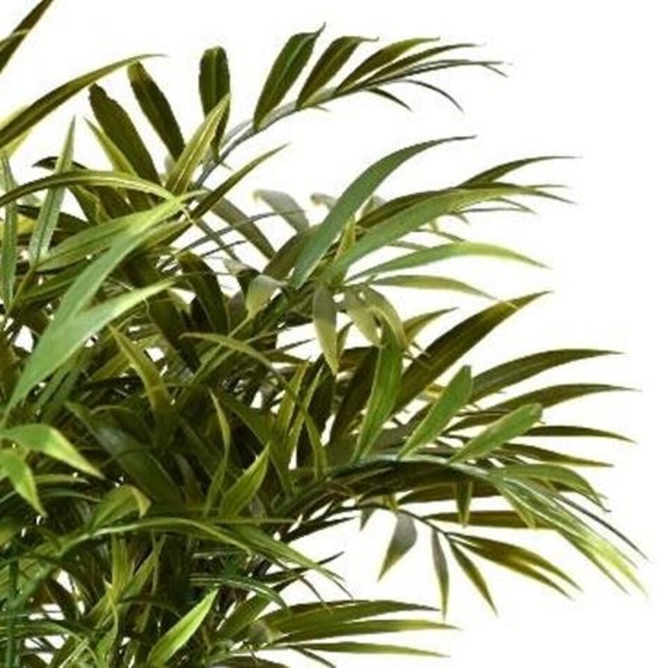 image 1 of 40cm Fire Retardant Artificial Palm Tree Stem