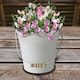image 3 of Pronto Seed Sweet Pea Grow Your Own Kit with Decorative Bucket Planter - Little Sweetheart Mix - Ideal Gardening Gift