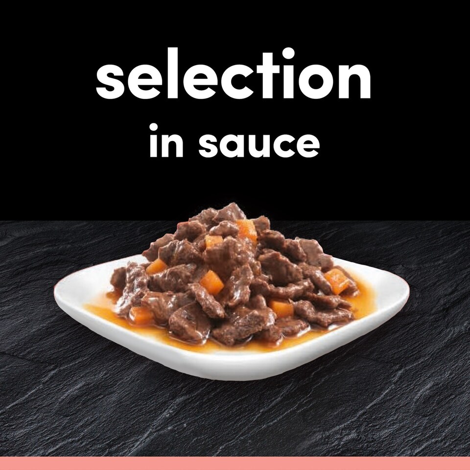 image 1 of 96 x 100g Cesar Luxury Adult Wet Dog Food Pouches Mixed Favourites In Sauce