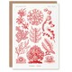 image 1 of Ernst Haeckel Art Card Florideophyceae Red Algae