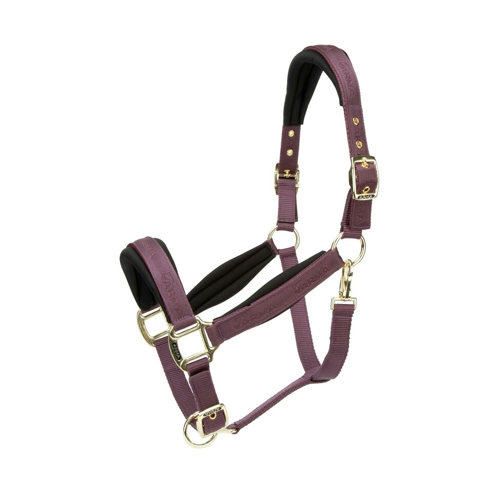 image 1 of ARMA Padded Headcollar Blue | Size: Full
Colour: Navy
