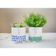 image 3 of KitchenCraft Planter Blue Dolomite Happy Face Blue