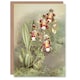 image 1 of Frederick Sander Odontoglossum Harryanum Orchid Art Greeting Card