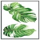 image 4 of Twin botanical leaves (Picture Frame) Brown | Oak | M