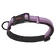 image 2 of Halti Comfort Dog Collar - Purple - M - Neckline: 35cm-50cm
