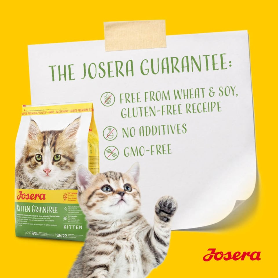 image 1 of Josera Kitten Grain-free complete food | Growing kittens | Pregnant & nursing mothers | Optimal development | Omega 3 | Anti-Hairball | Skin & Coat | 10kg