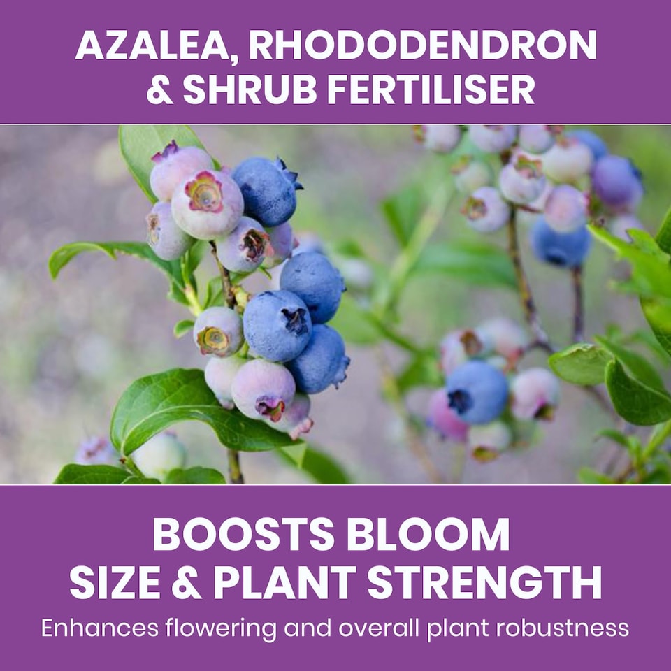 image 1 of language Vitax Azalea Rhododendron & Shrub Fertiliser 0.9kg Organic Acid-Loving Plant Feed for Healthy Growth & Blooms