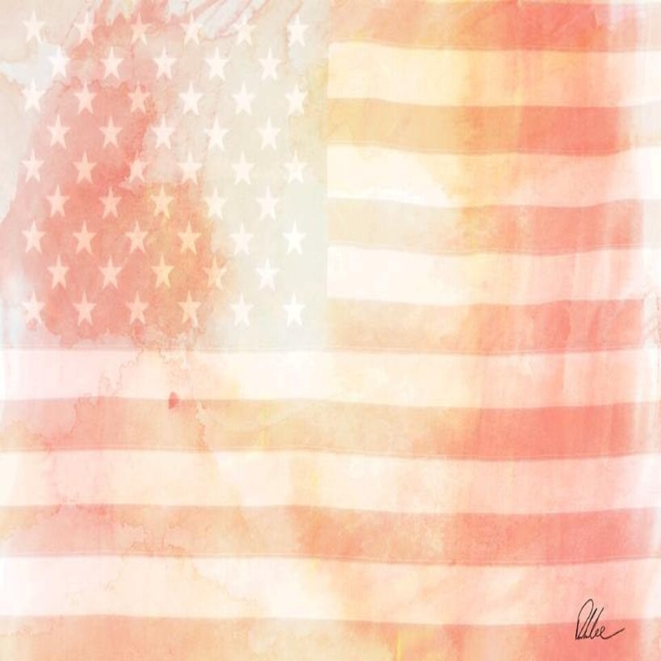 image 1 of American Flag Subtle (Canvas Print) 44" x 30"
