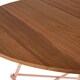 image 4 of Interiors by Premier Pink Metal and Elm Wood Round Table, Versatile Coffee Table for Home and Office, Round Outdoor Dining Table