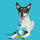 image 4 of BARK Ani The Nene Goose Dog Toy