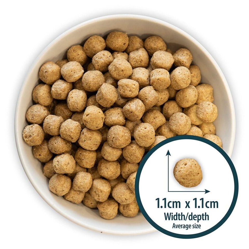 image 1 of Burns Sensitive Duck & Brown Rice Complete Dry Dog Food - 2 kg