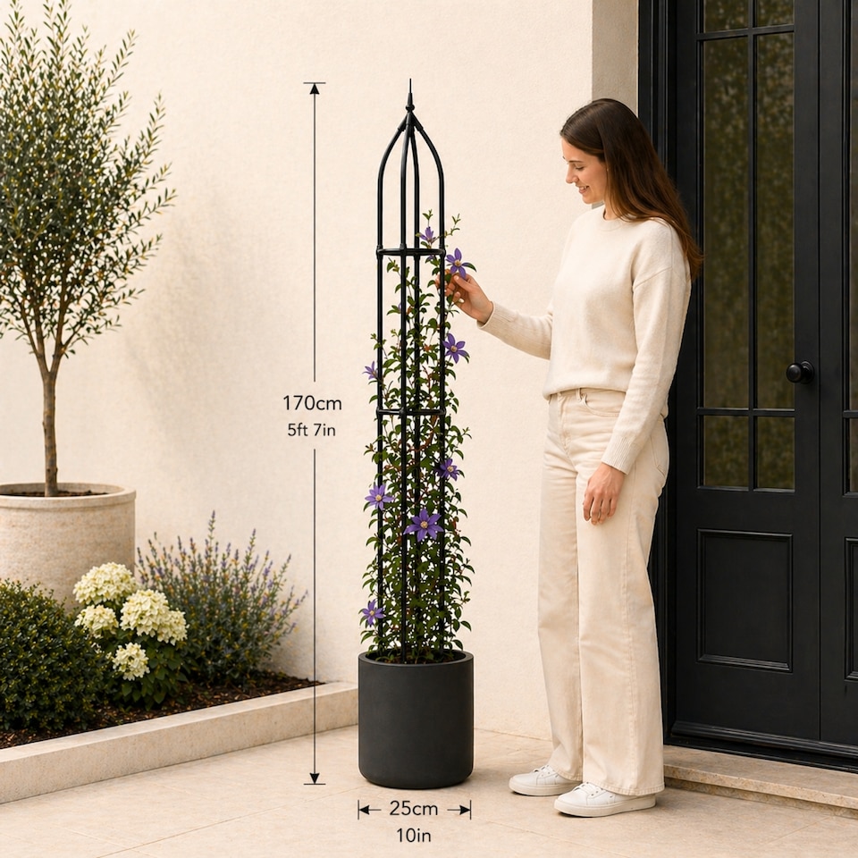 image 1 of Garden Obelisk for Climbing Plants 170cm - Metal Plant Cage Support Trellis Rose Tower for Flowers, Patio Pots, Shrubs, Borders